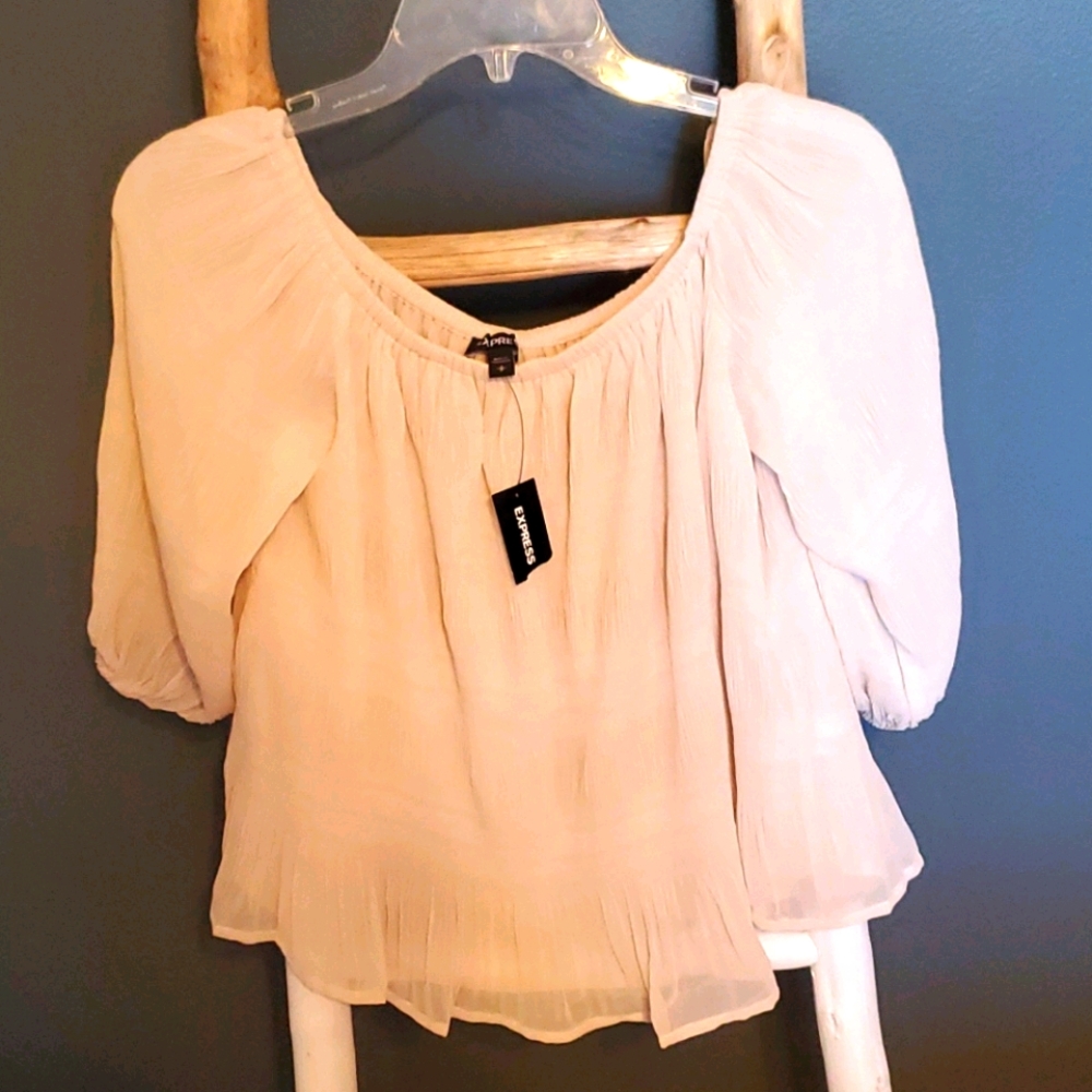 Express off-the-shoulder 3/4 length sheer sleeves ruffled, flowy Hem Dusty Pink